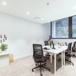 Bureau multipostes à Grenoble Bastille