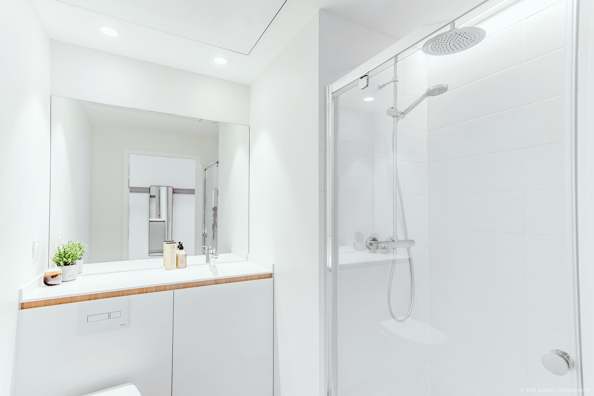 Salle de bain avec une douche tropicale à Grenoble