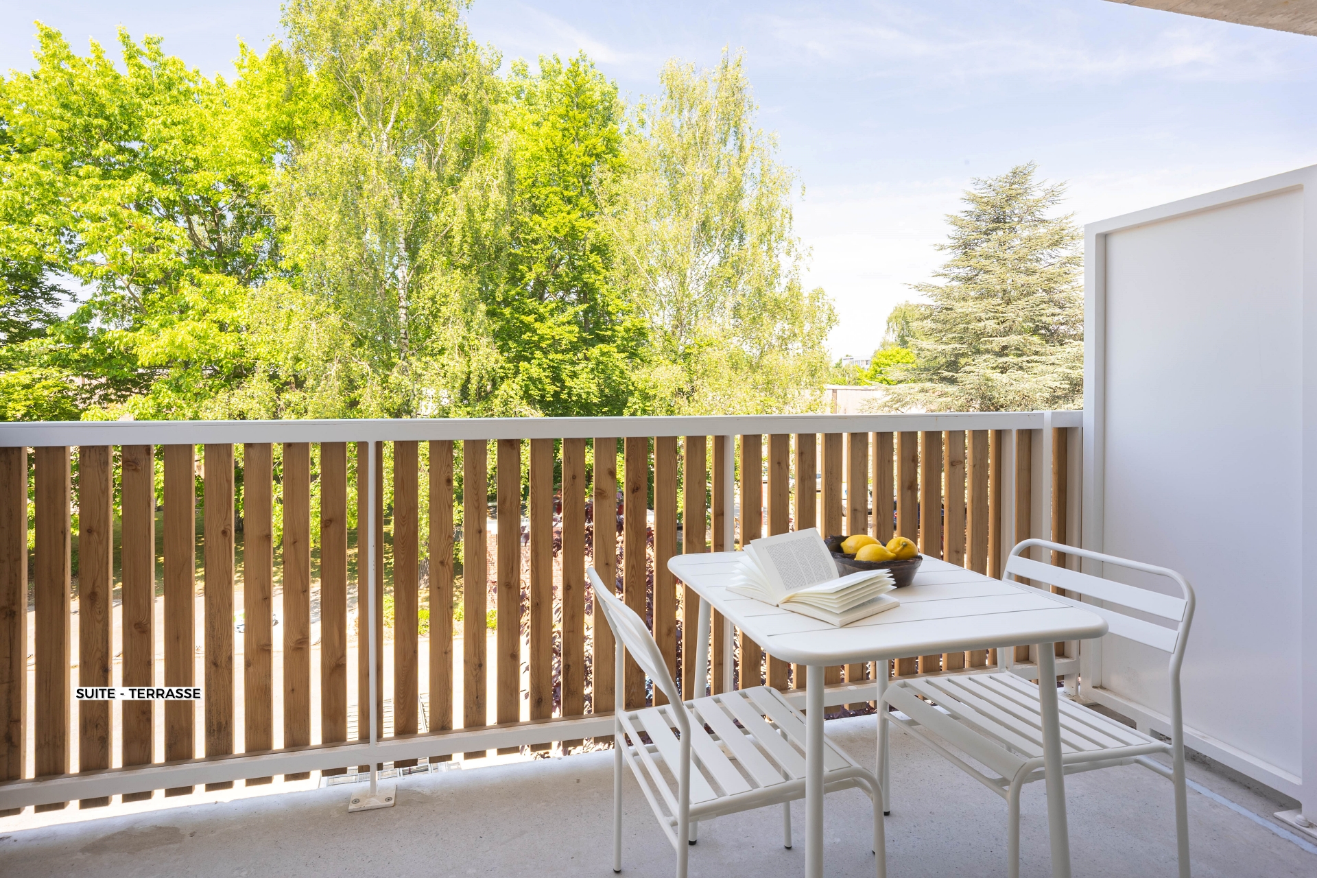 Suite Terrasse - Résidence Lille Les Prés - Coliving Appartement meublé - 2054 Suite - Terrasse (1)