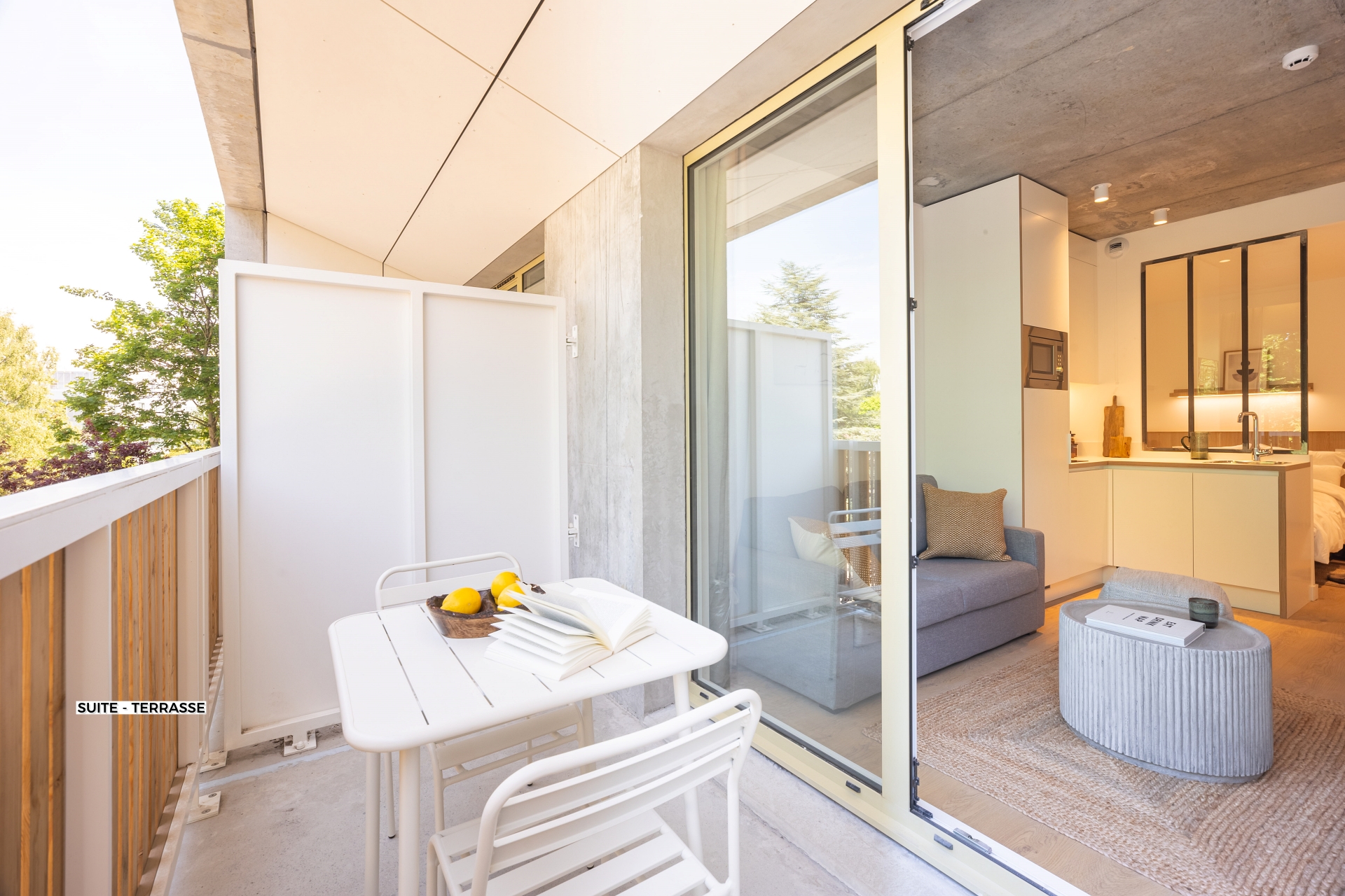 Suite Terrasse - Résidence Lille Les Prés - Coliving Appartement meublé - 2054 Suite - Terrasse (2)