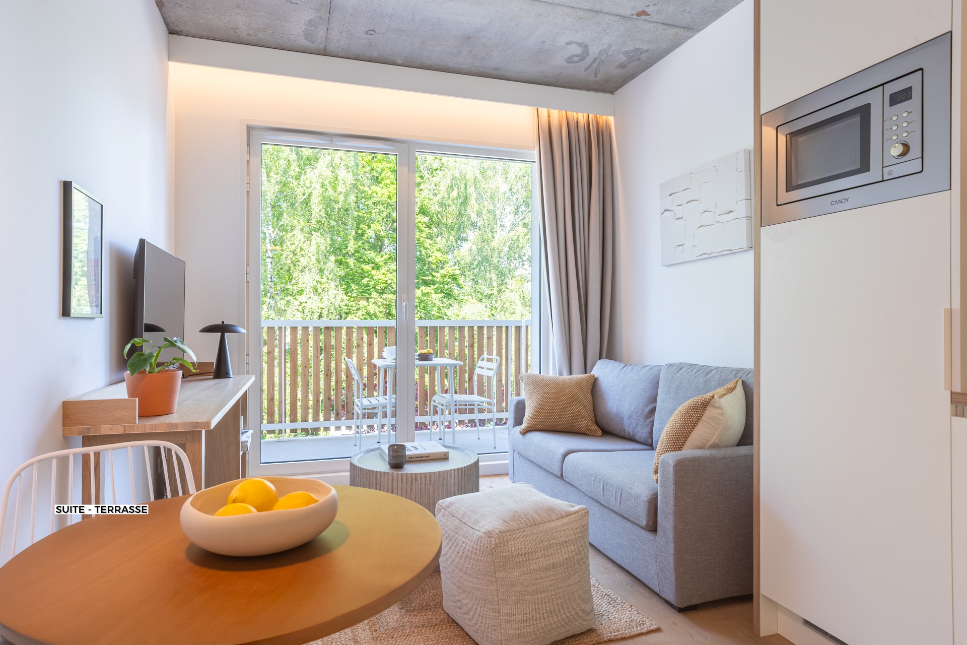 Suite Terrasse - Résidence Lille Les Prés - Coliving Appartement meublé - 2054 Suite - Terrasse (4)