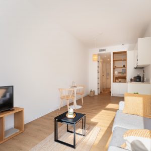 VP 246 | Premium One-room