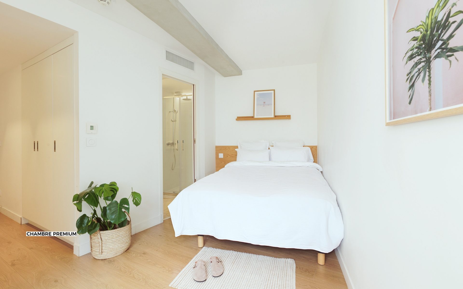 Chambre Premium #226 (3)