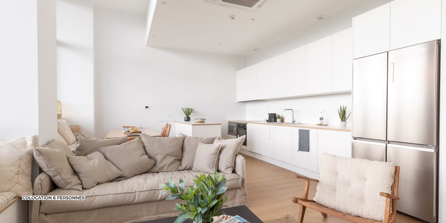 Salon combinée avec cuisine en colocation à Grenoble