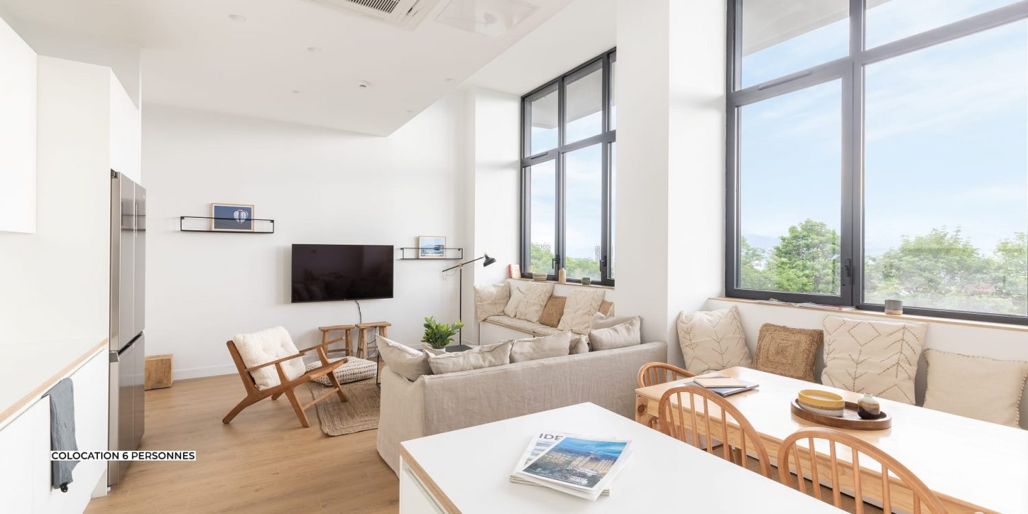 Salon avec une vue dégagée en colocation à Grenoble