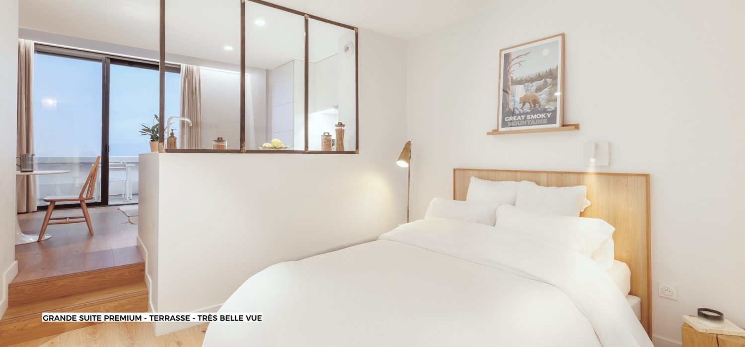 Grande suite premium - terrasse - tres belle vue 434 (12)