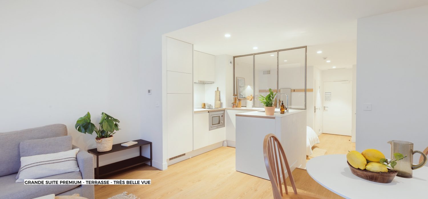 Grande suite premium - terrasse - tres belle vue 434 (6)