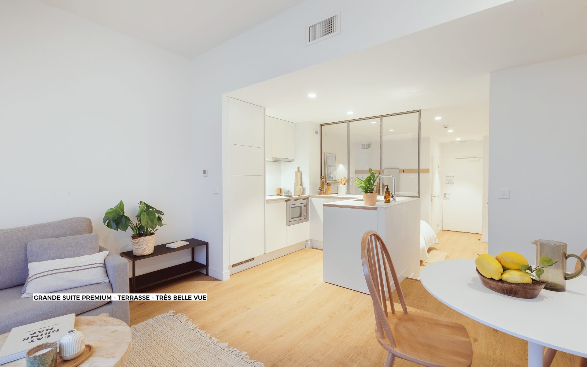 Grande suite premium - terrasse - tres belle vue 434 (6)