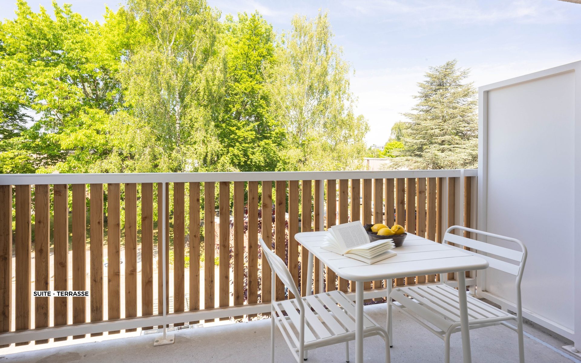 Suite Terrasse - Résidence Lille Les Prés - Coliving Appartement meublé - 2054 Suite - Terrasse (1)