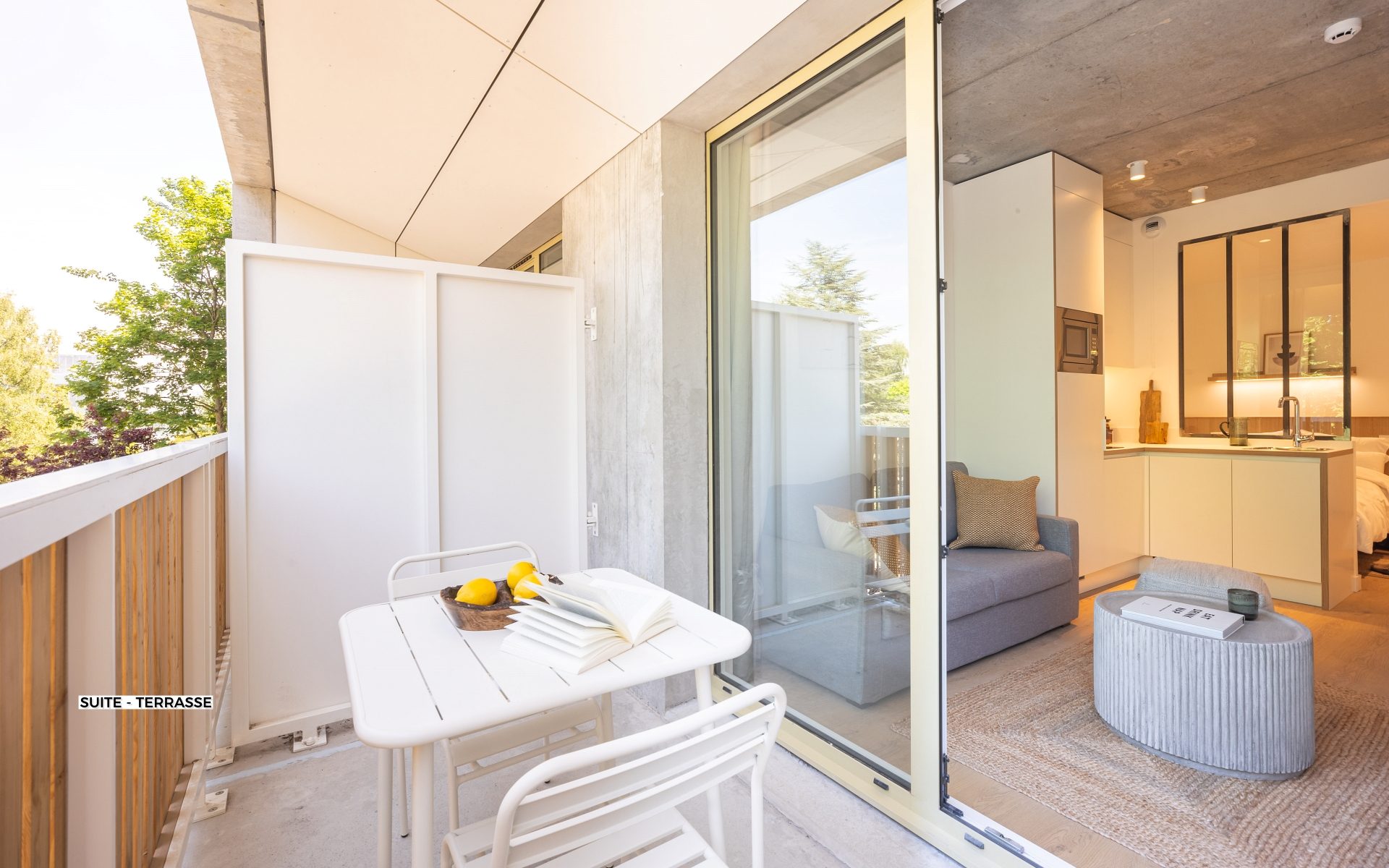 Suite Terrasse - Résidence Lille Les Prés - Coliving Appartement meublé - 2054 Suite - Terrasse (2)