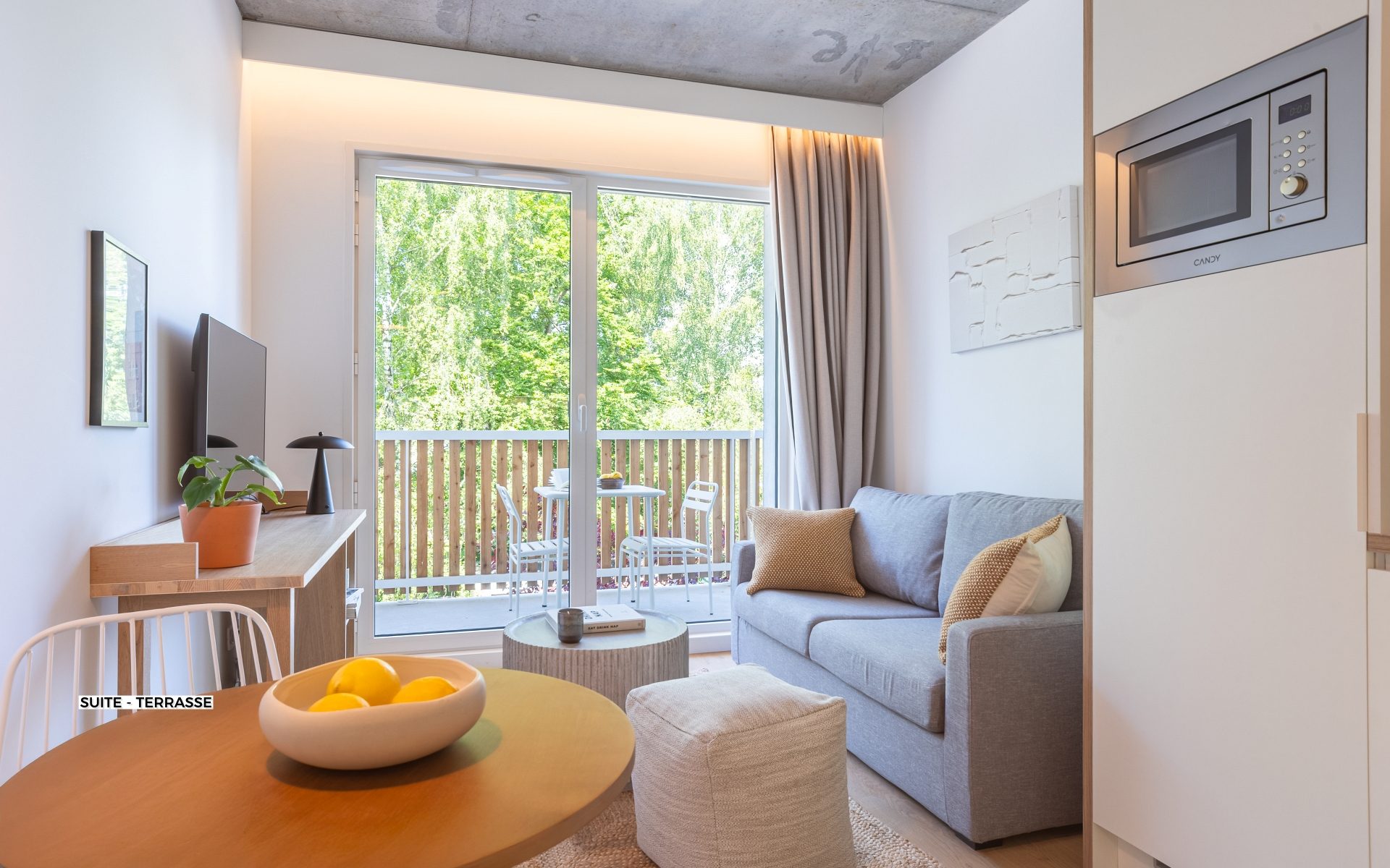Suite Terrasse - Résidence Lille Les Prés - Coliving Appartement meublé - 2054 Suite - Terrasse (4)