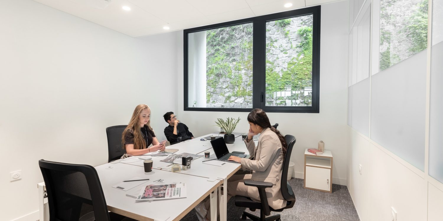 Bureau entièrement équipé avec Wi-Fi haut débit et services à Grenoble