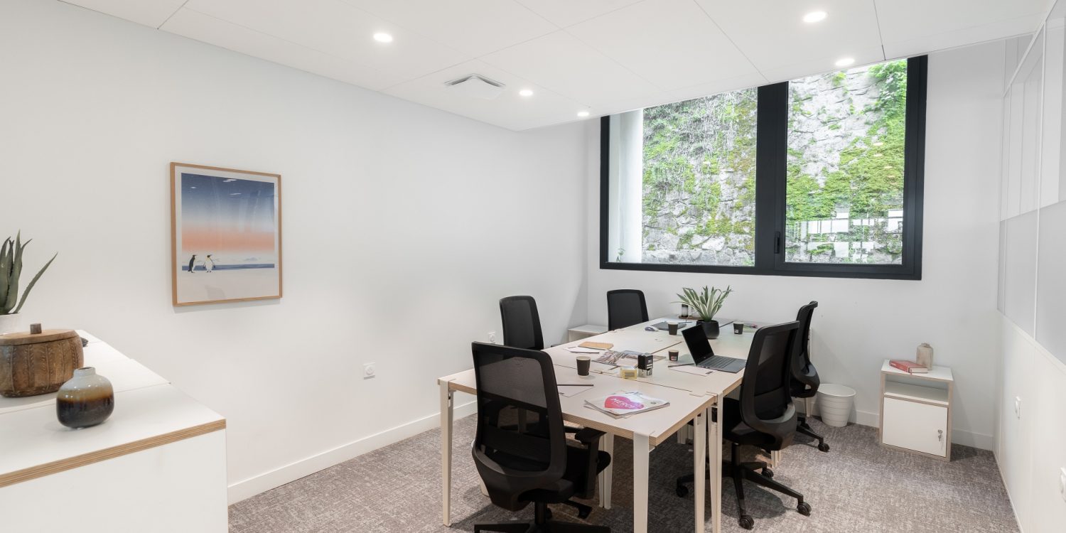 Flexible turnkey office coworking in Grenoble